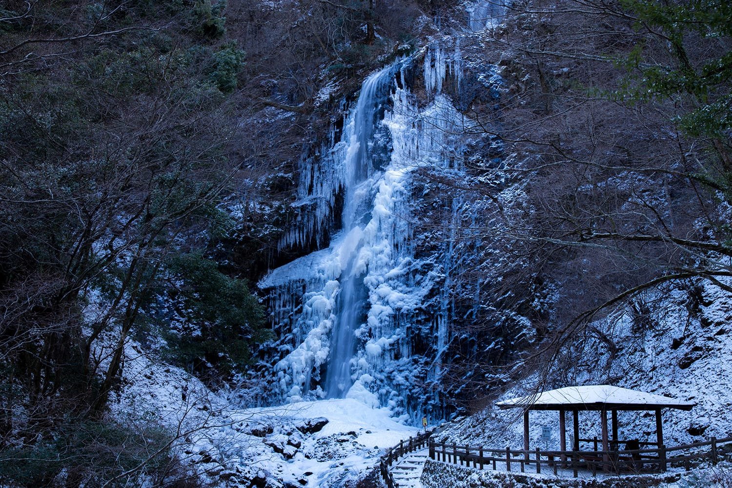 🏞️ 하얀 멧돼지 폭포(시라이노타키) 이미지 8